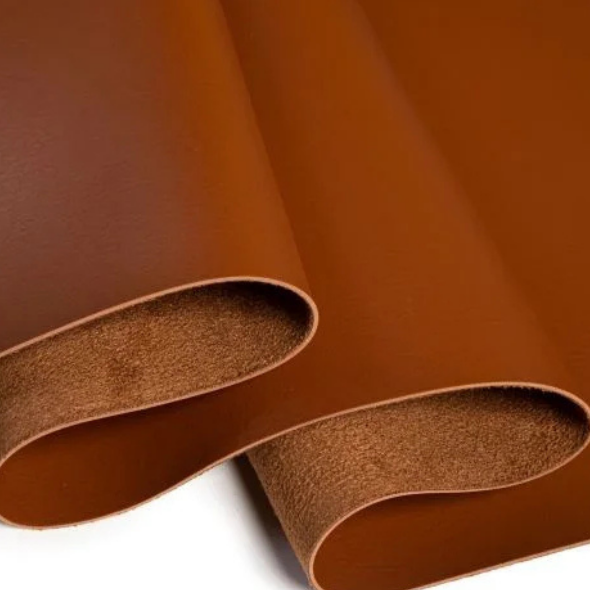 Molde imagem site (5)