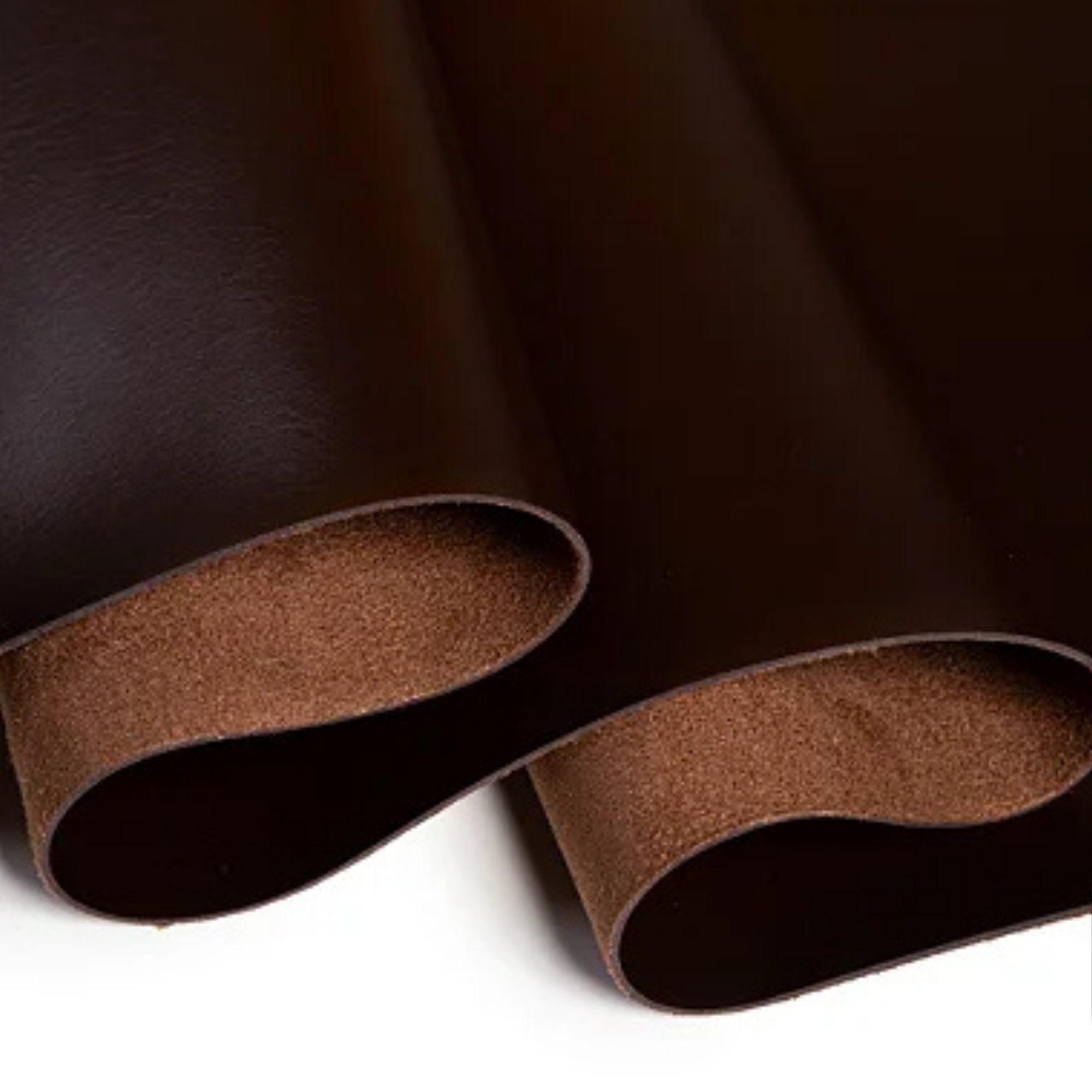 Molde imagem site (7)